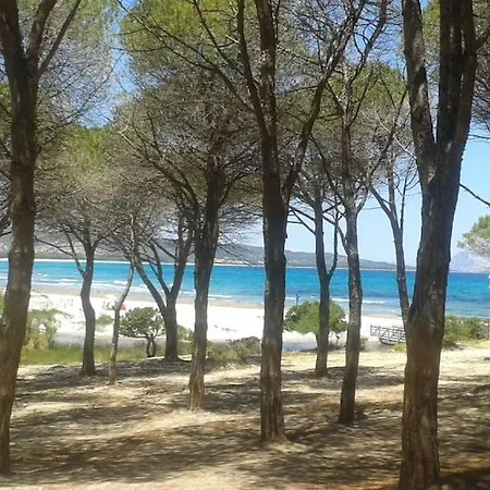 Διαμέρισμα Casa Salvo Budoni