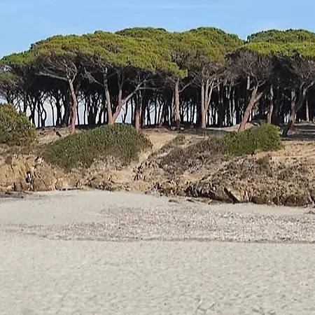 Casa Salvo Διαμέρισμα Budoni
