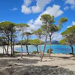 Solea بودوني